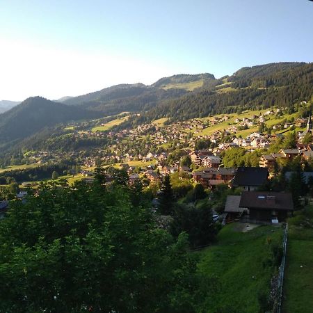 Le Panoramic Aparthotel Châtel Buitenkant foto