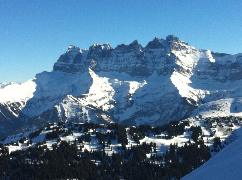 Le Panoramic Aparthotel Châtel Buitenkant foto