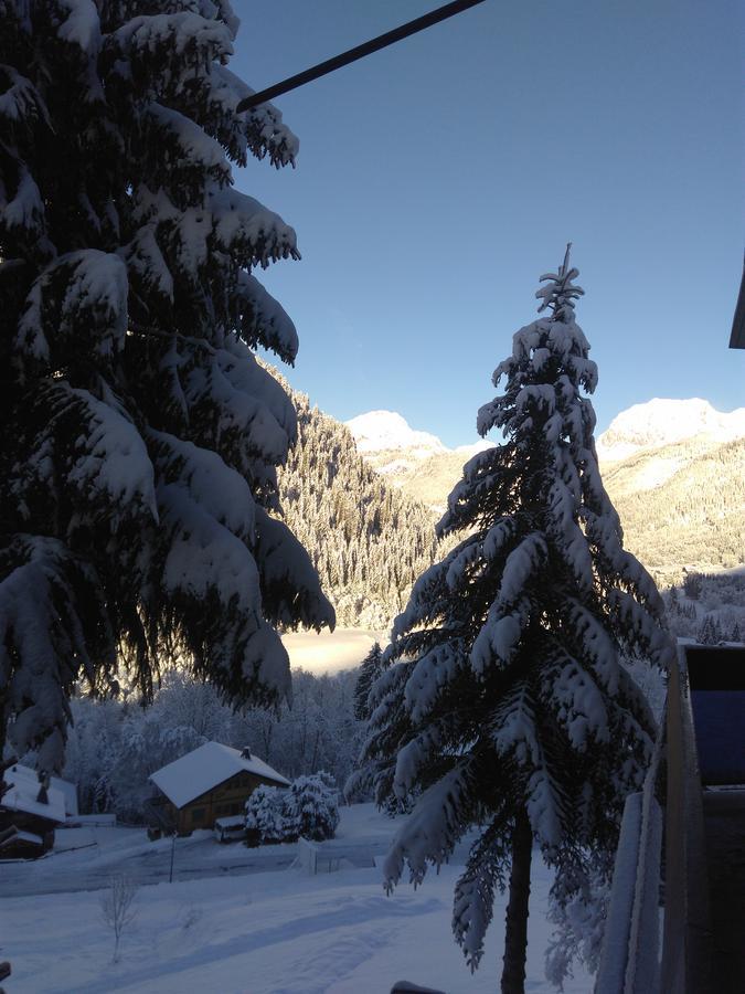 Le Panoramic Aparthotel Châtel Buitenkant foto