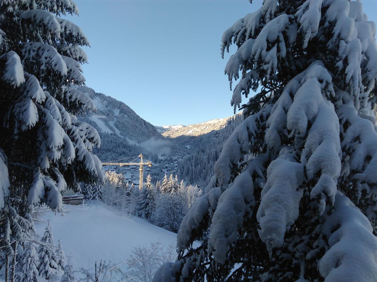 Le Panoramic Aparthotel Châtel Buitenkant foto